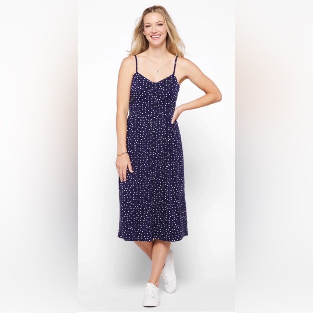 41 Hawthorn Beatriz Button Down Smocked back Midi Dress Medium Navy & White